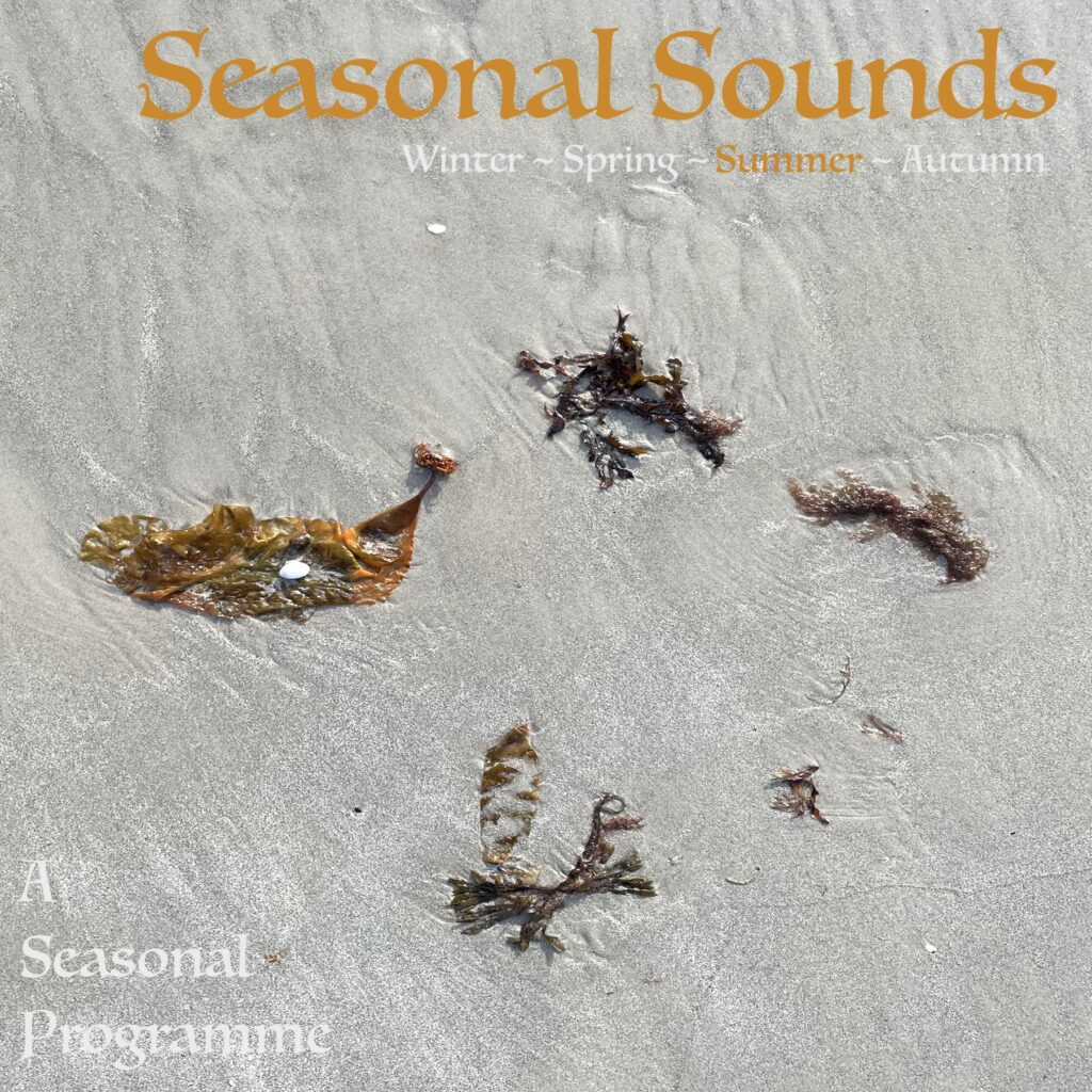 Seasonal Sounds #3: Summer